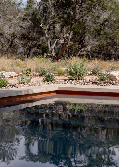 Mamey Pool Waterline 2x6