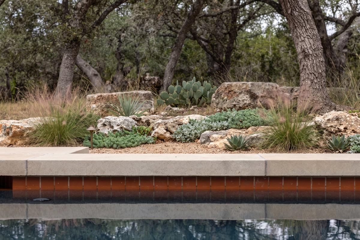 Mamey Pool Waterline 2x6