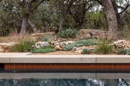 Mamey Pool Waterline 2x6