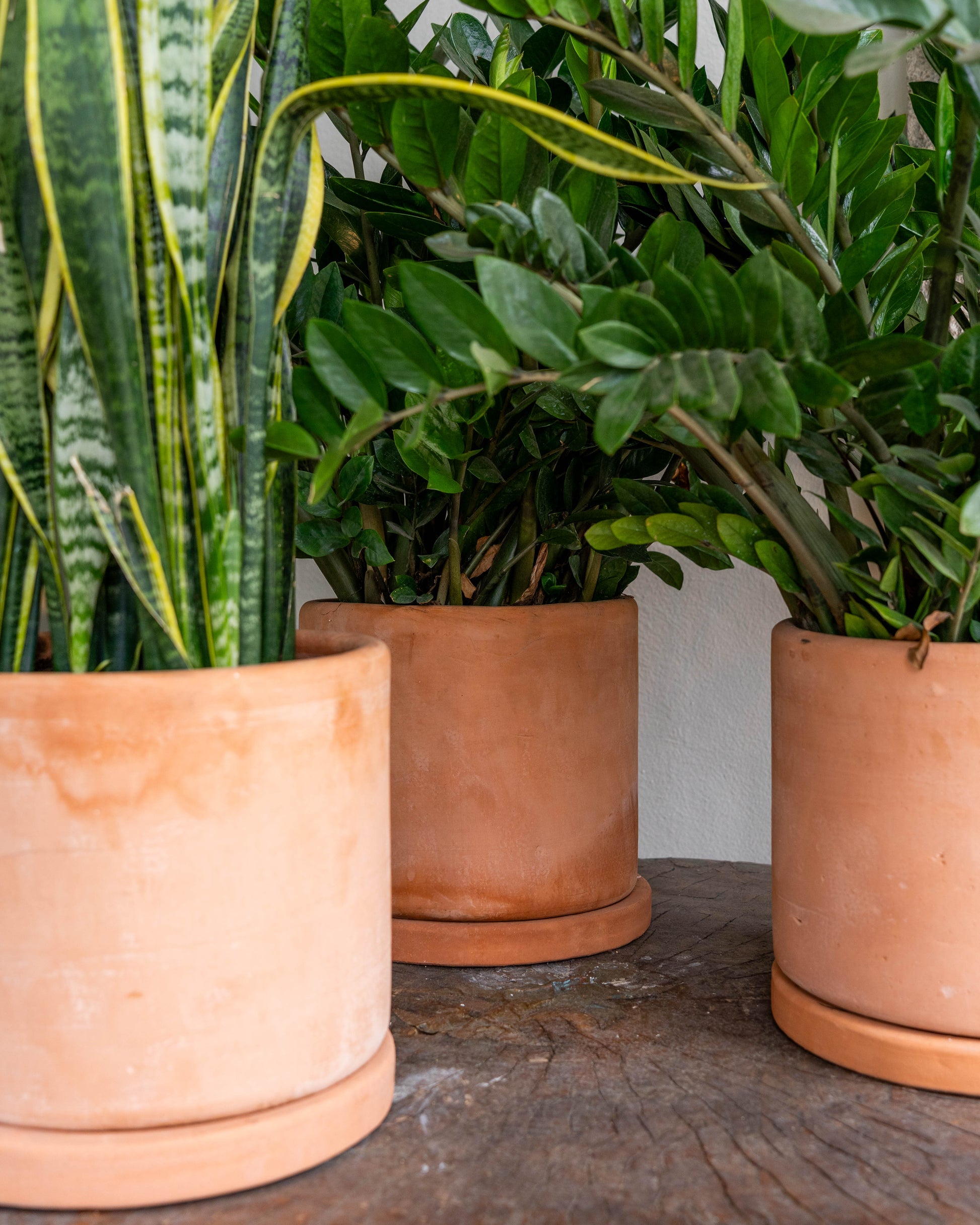 ceramic pot plant holders Oaxaca Terracotta Planters – Clay Imports