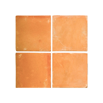 Organic Terracotta Chip