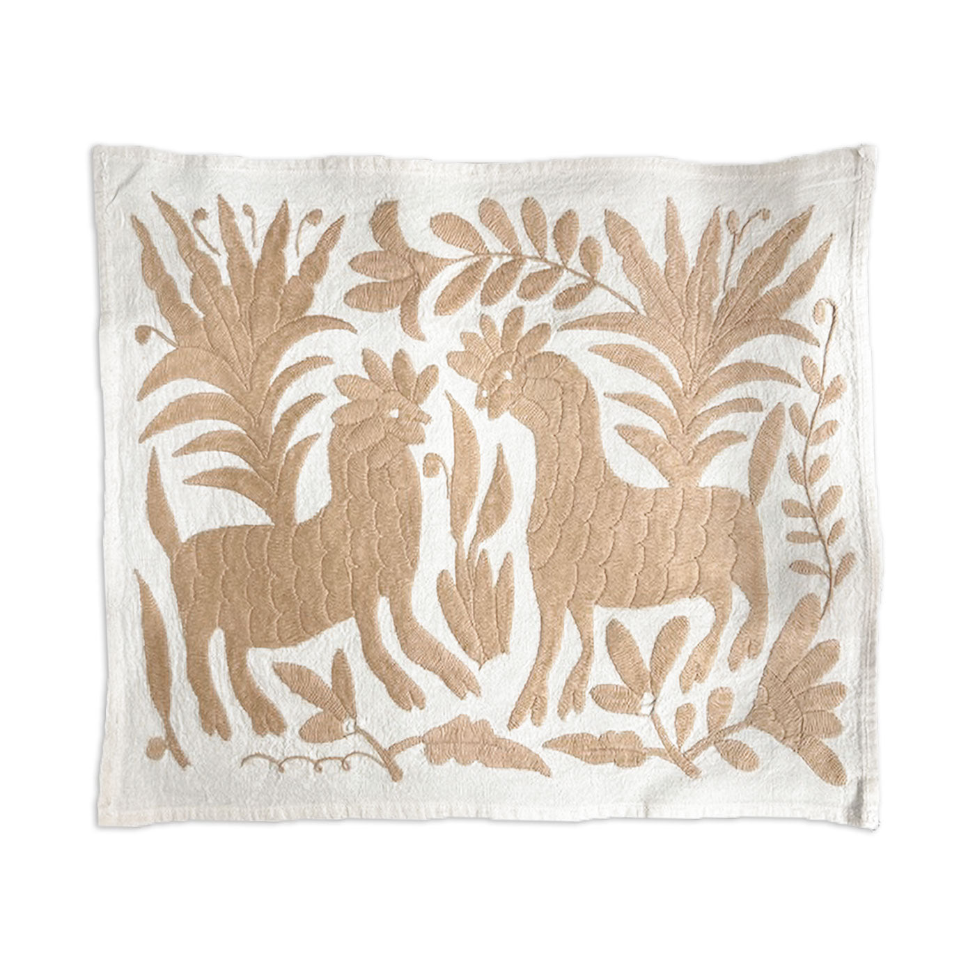 Otomí Embroidered Placemat