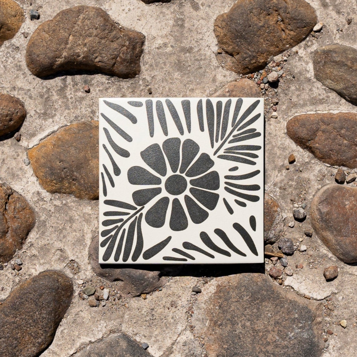 Bundle] Freno Vocho Black 8x8 | 24 SF – Clay Imports