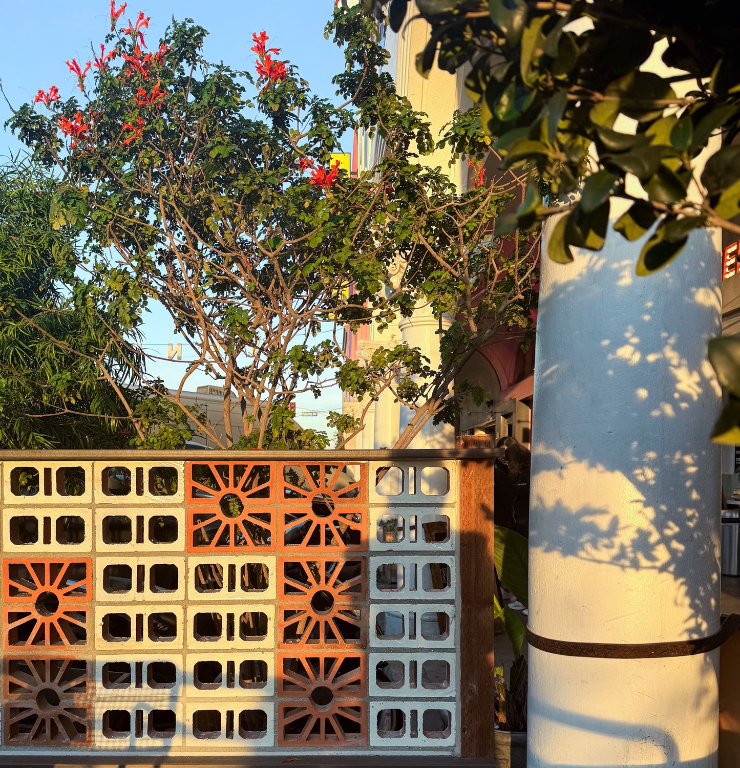 Design Nathalie Chapple | Menotti's Venice Beach