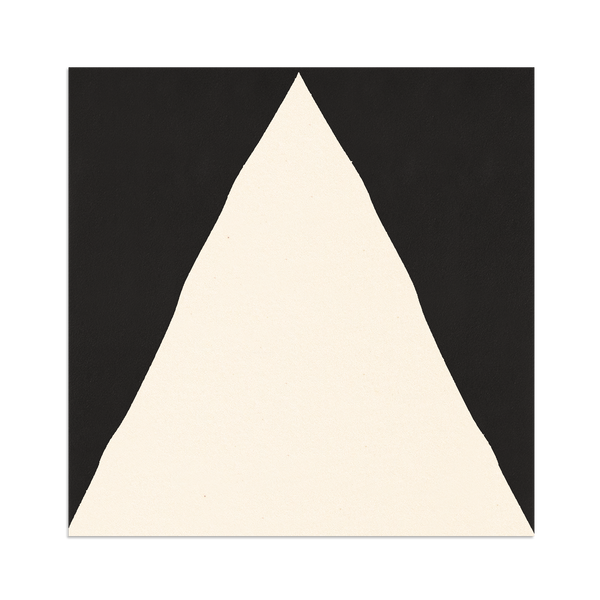 [Sample] Valley Vocho White Pitch Black Tile 8"x8"