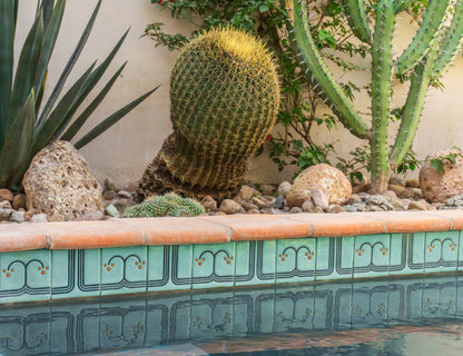 Relief Conectada Jade Pool Waterline