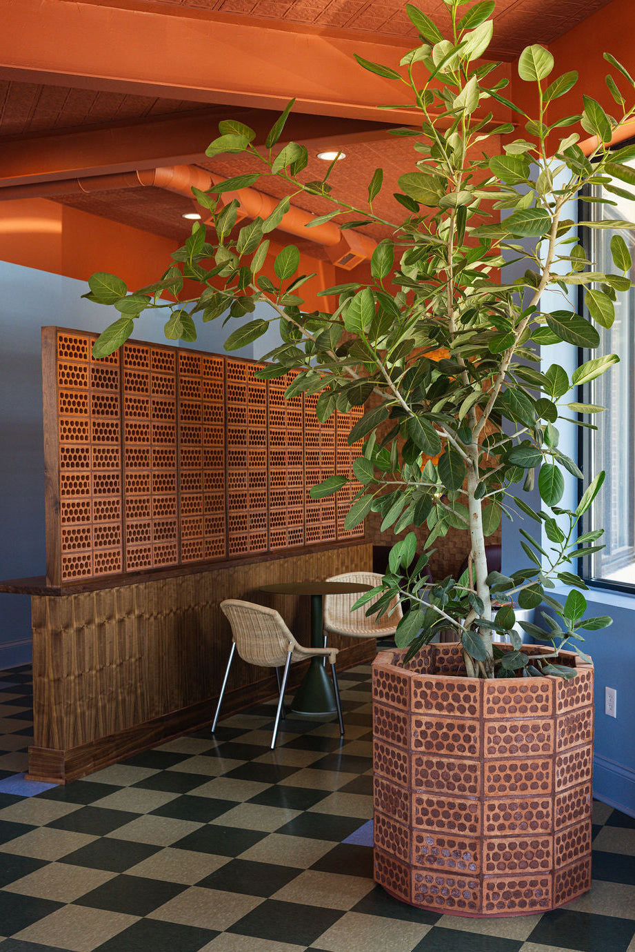 A large potted houseplant with green leaves stands in a woven terracotta planter on a black-and-beige checkered floor in a modern interior with wood paneling and orange ceiling beams.