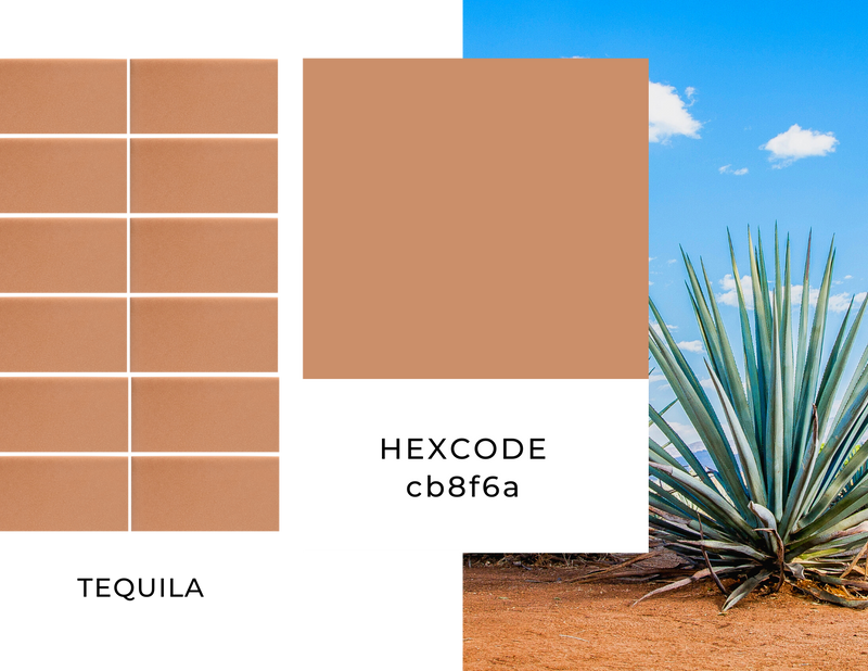 tequila agave plant image with color swatches of adobe brown