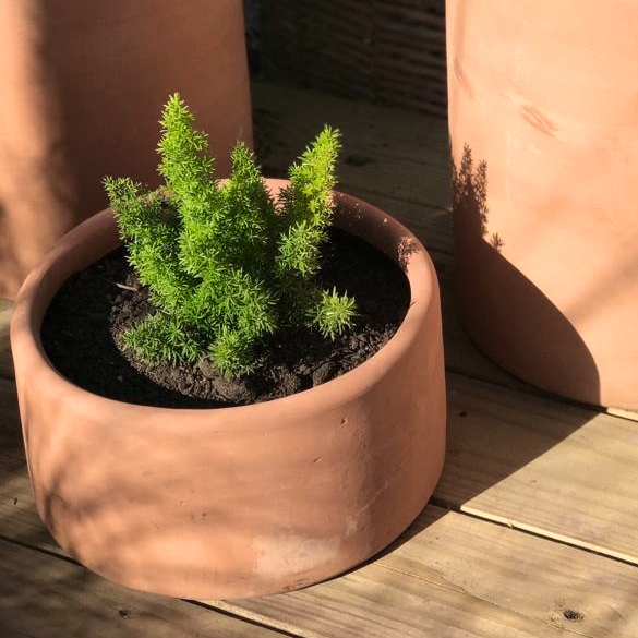 large clay pots for outdoor plants Oaxaca Terracotta Planters