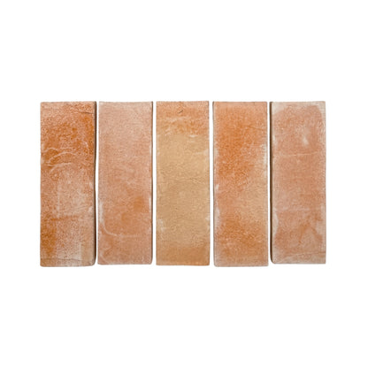 Five matte terracotta tiles by Clay Imports, arranged side-by-side, with a rough, textured surface and varying orange-brown hues.
