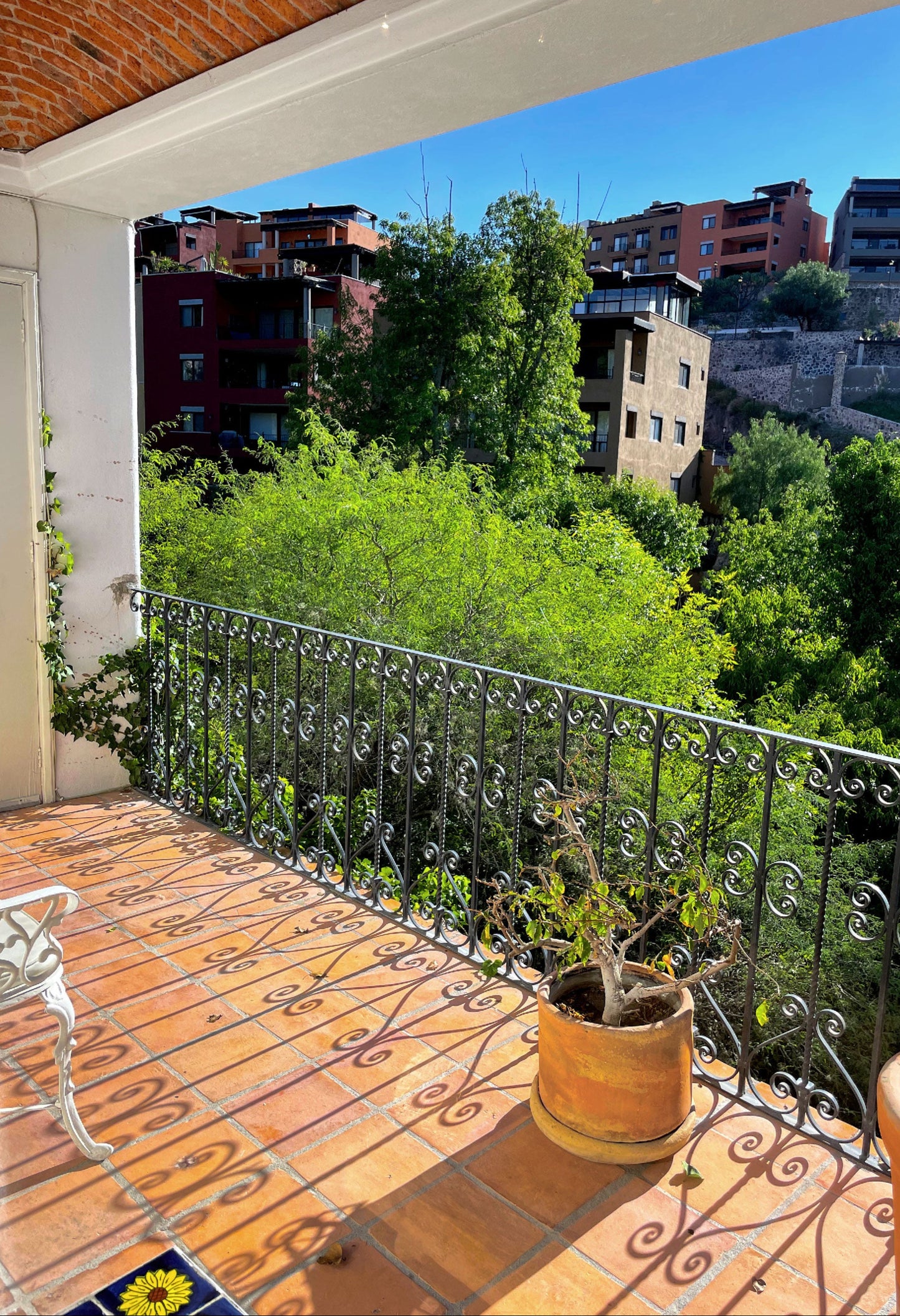 Organic Terracotta 12x12