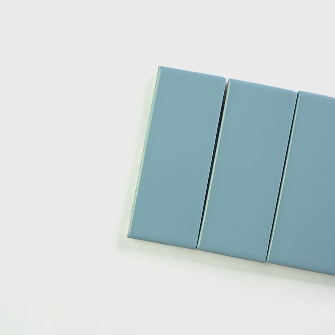 Dragonfly Gloss 2