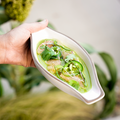 Ceviche Dish by Kati Luedecke