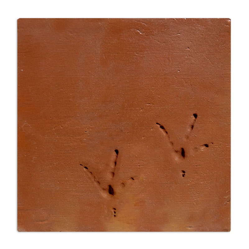 Dog Paw | Chicken Foot Terracotta 12" x 12"