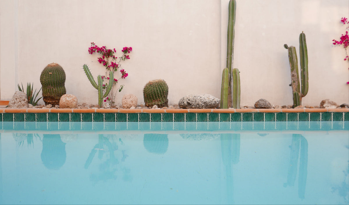 Green fan-patterned pool waterline tile by Clay Imports at the top of a pool reflecting cacti.