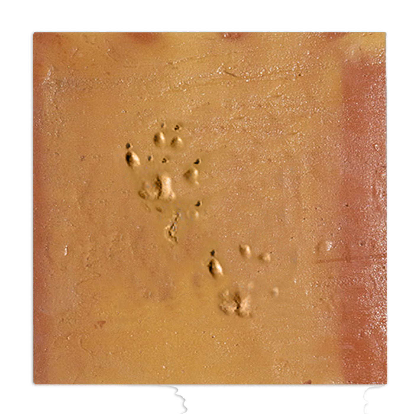 Dog Paw | Chicken Foot Terracotta 12" x 12"