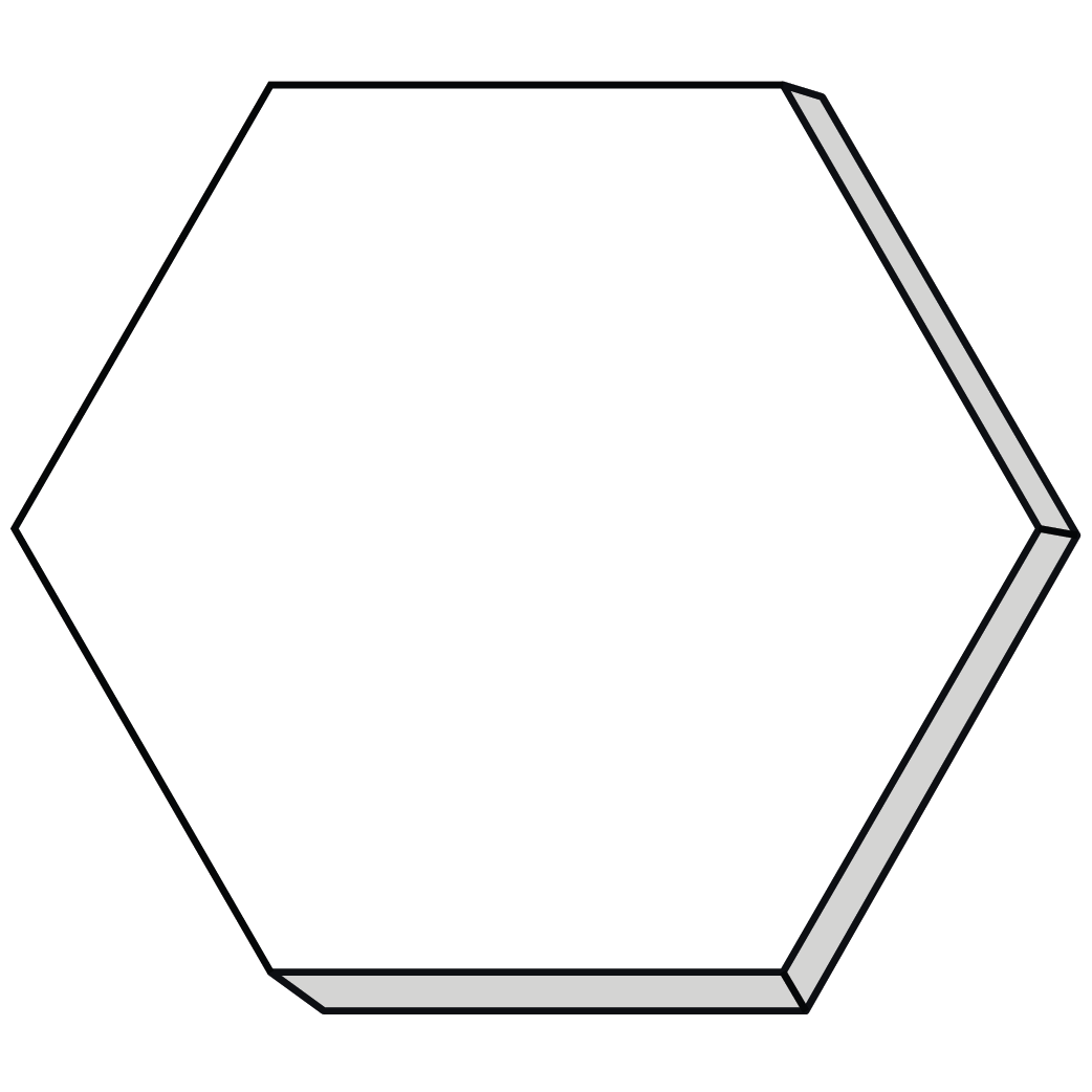 Hexagon 13"