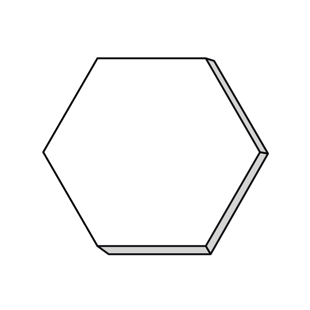 Hexagon 4"