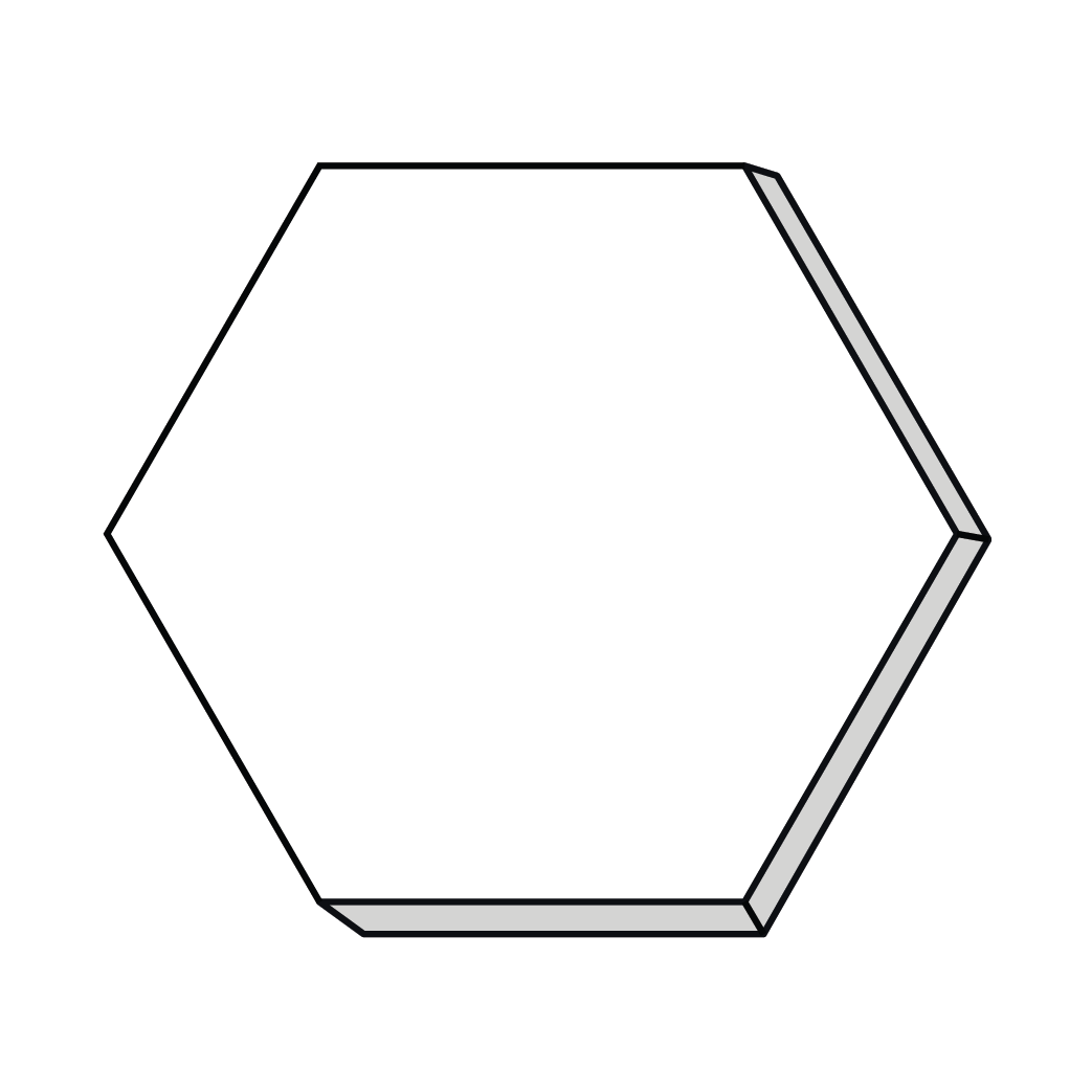 Hexagon 6"