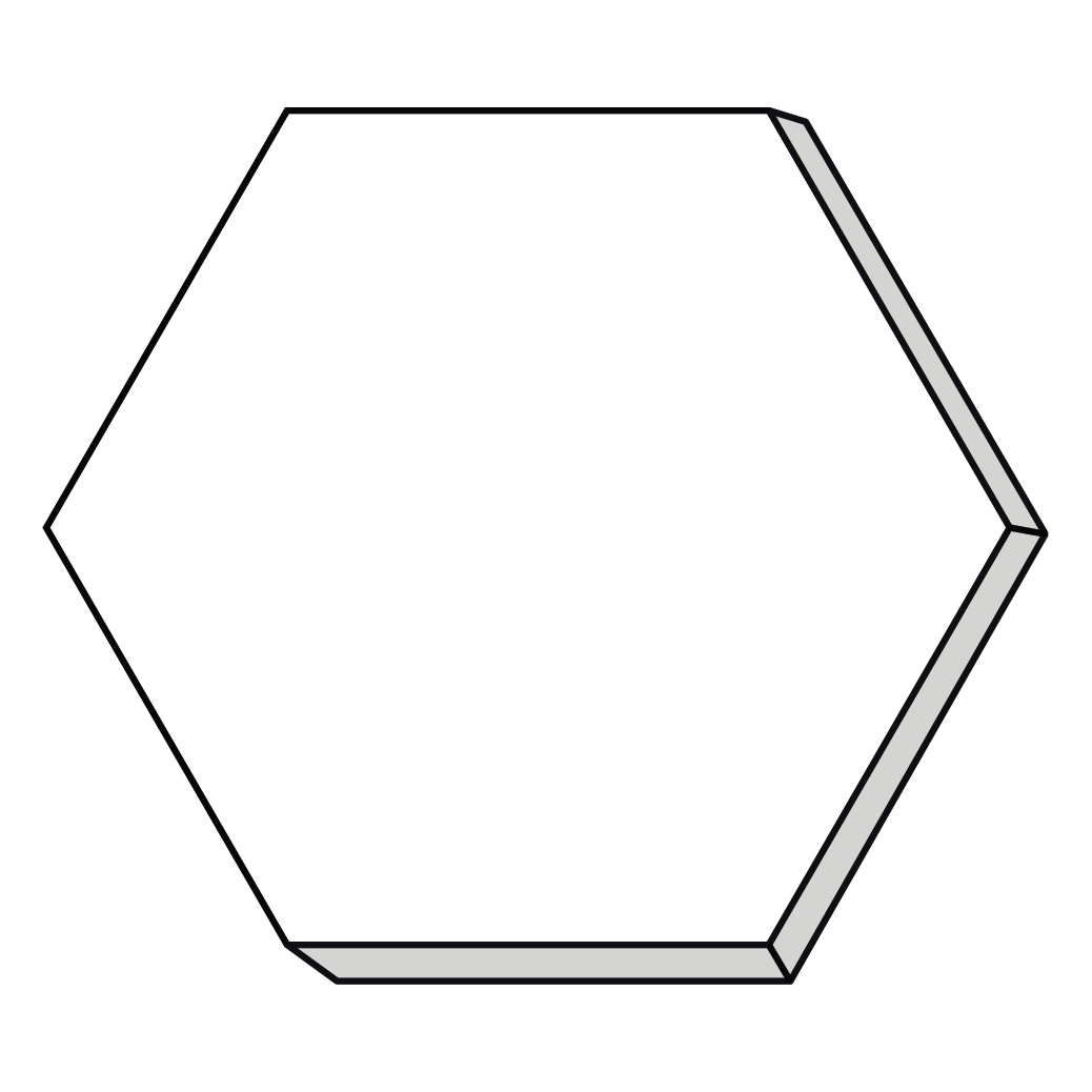 Hexagon 8"